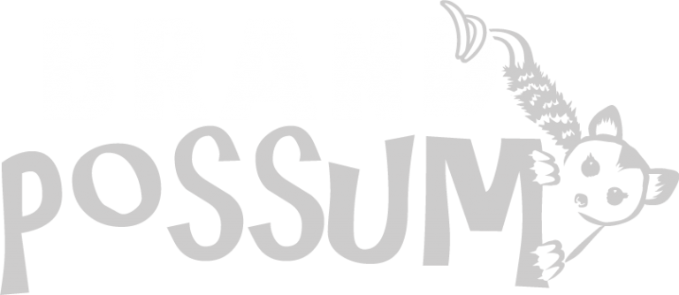 Brand Possum website designer near me